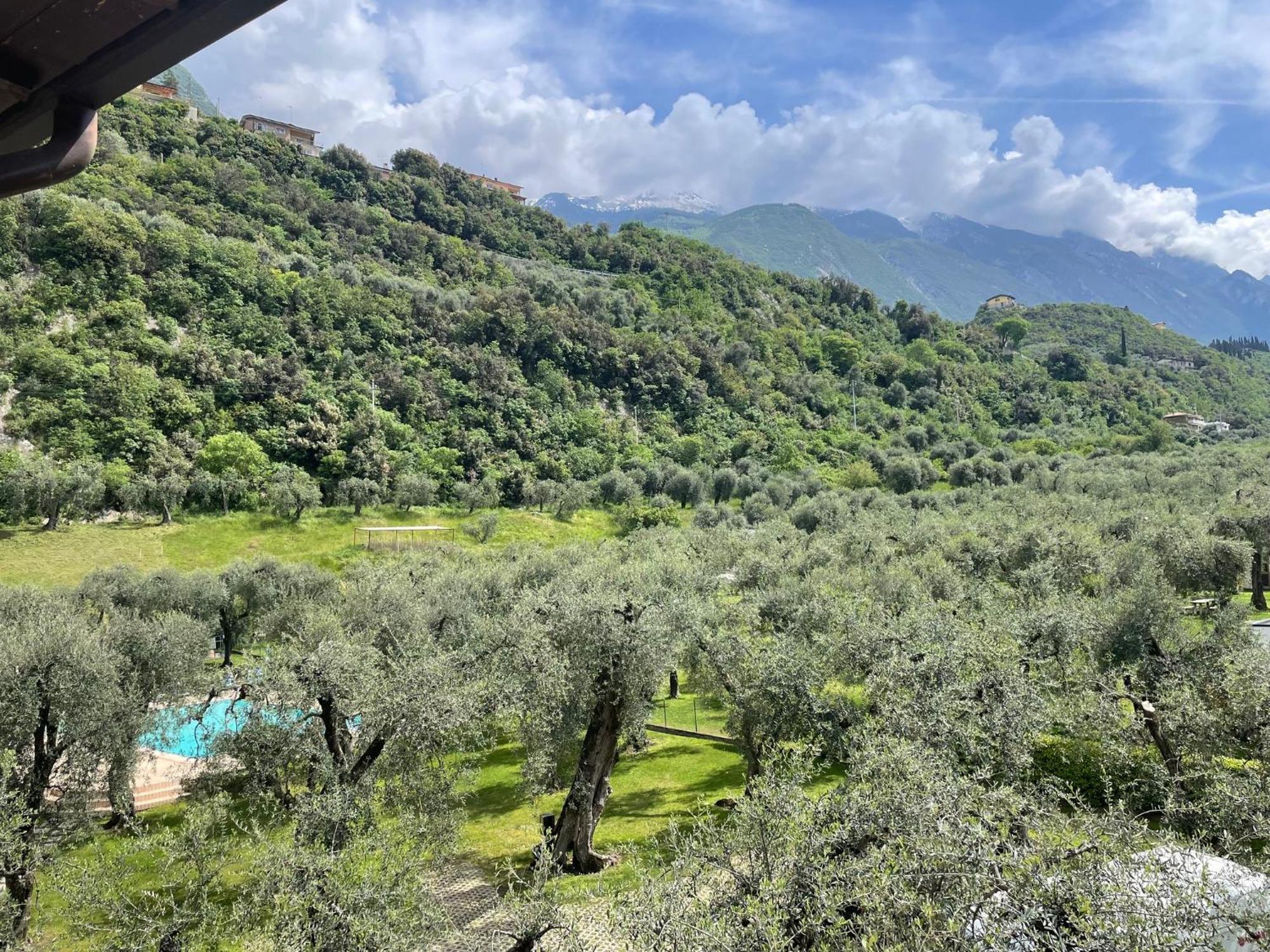 Hotel Casa Chincarini Malcesine Eksteriør billede